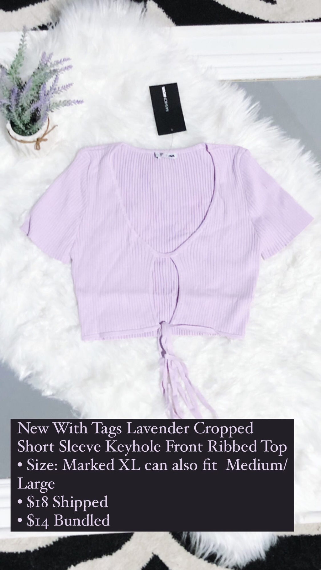 NWT Lavender Cropped Short Sleeve Top