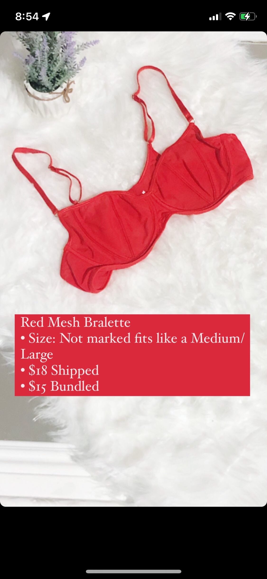 Red Mesh Bralette