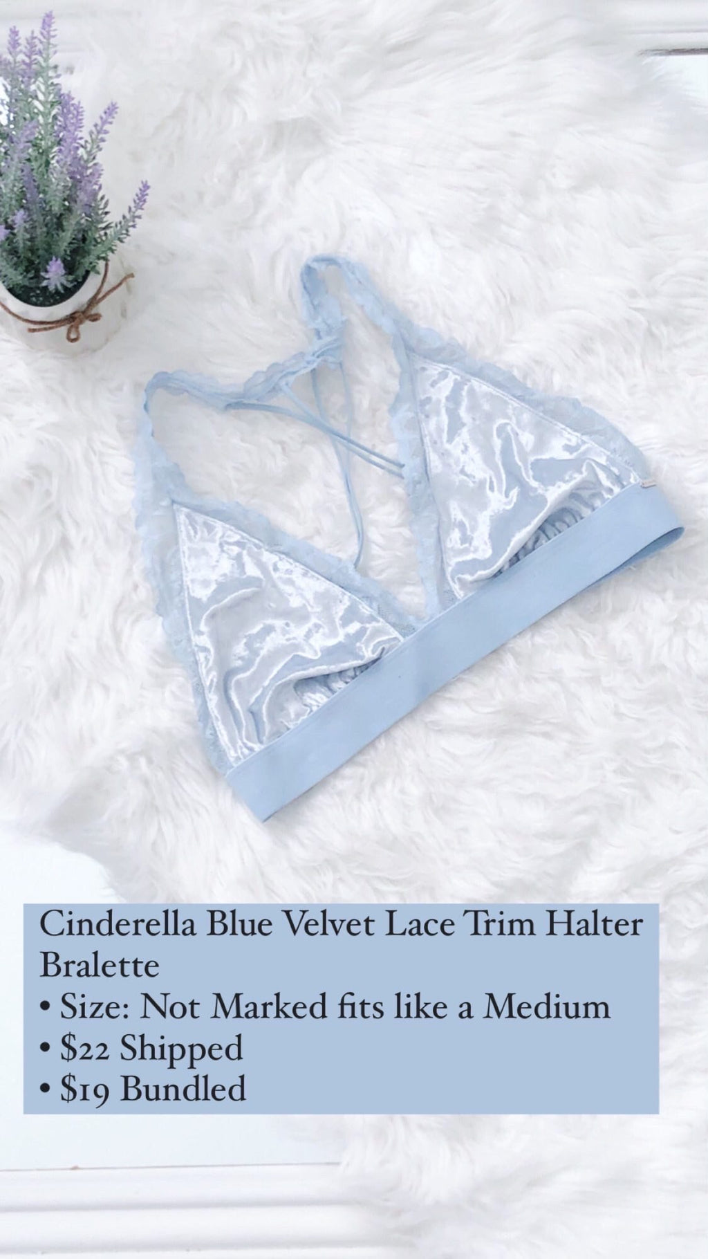 Cinderella Blue Velvet Bralette